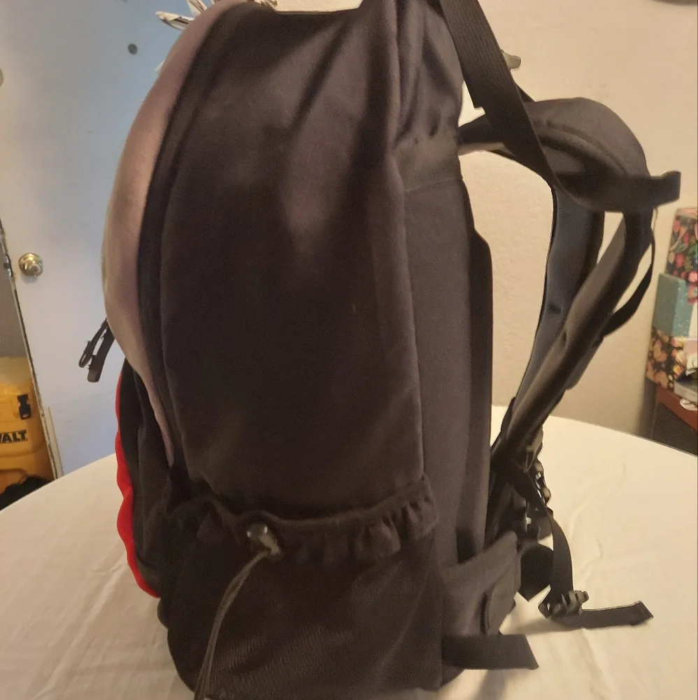 The North Face 'Catos' Backpack
